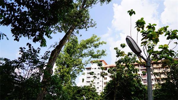 马来西亚马来亚大学硕士的申请时间