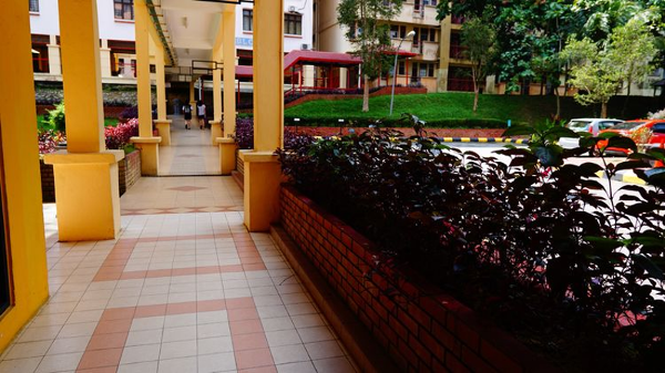 马来亚大学：马来西亚的骄傲