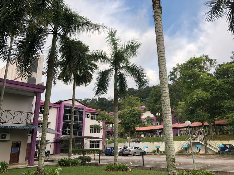 马来亚大学的博士(环境研究型学）
