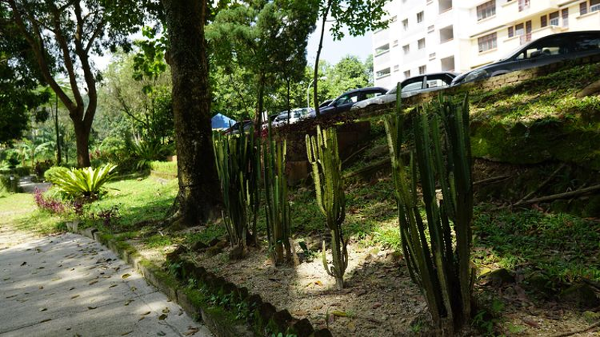 马来亚大学：马来西亚教育的瑰宝