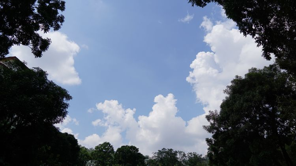马来亚大学学校介绍及历史背景一览：百年名校的辉煌传承