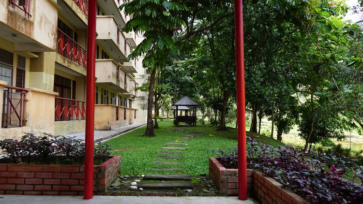 马来亚大学学士(英语）