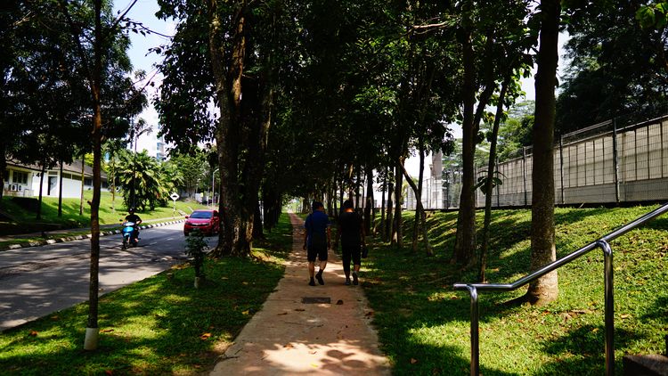 马来亚大学的文化多样性