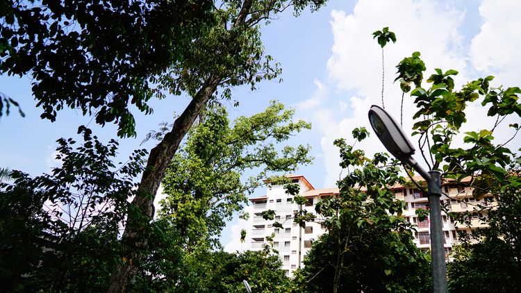 马来亚大学的人文学科