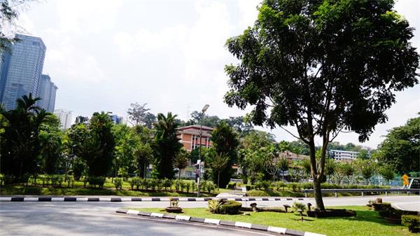 马来亚大学的本科申请条件